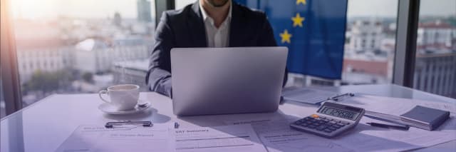 Business professional managing EU VAT compliance and tax reports on a laptop with financial documents and EU flag in the background.