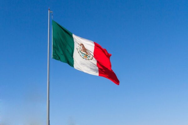 VAT registration services. Mexico introduces taxation on digital services