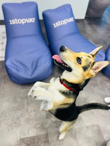 photo_2023-09-01_12-18-07