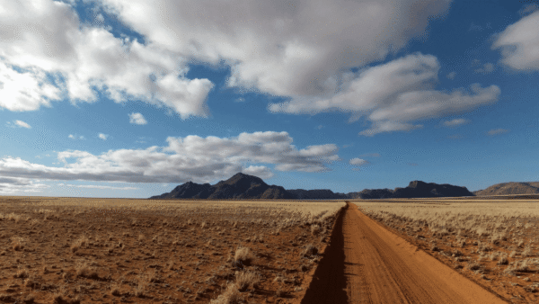 A dirt road winds through a wide, open plain, with tall grass swaying gently and hills in the distance, all under a bright, cloudless sky.