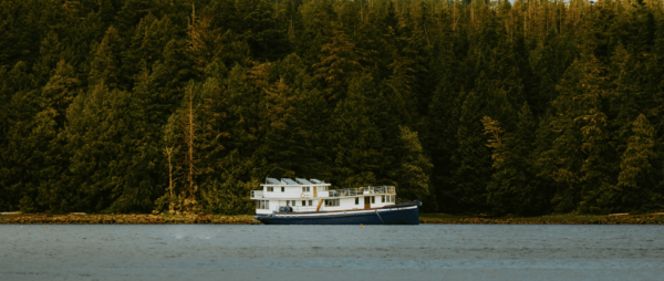 A boat is floating in the water near some trees