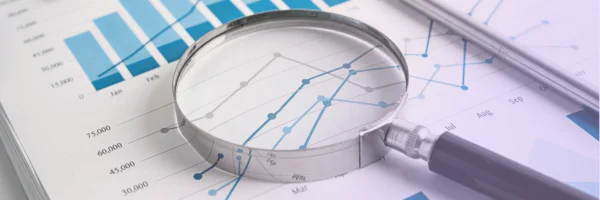 Professional Tax Filing Services: What to Expect from Experts