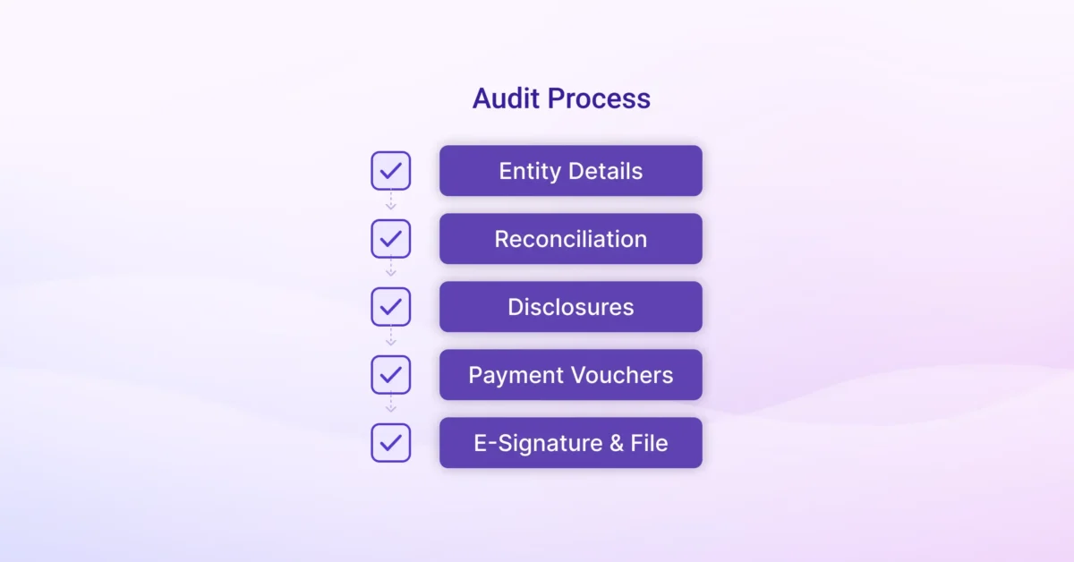 Audit process checklist showing entity details, reconciliation, disclosures, payment vouchers, and e-signature