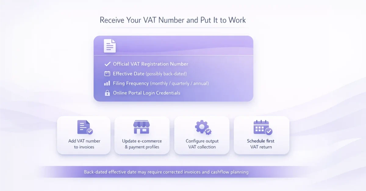 Infographic explaining VAT registration benefits, including official VAT number, effective date, filing frequency, portal access, invoice updates, and scheduling first VAT return